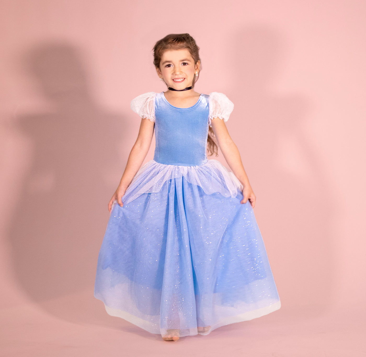 Joy Costumes Princess Cinderella blue costume dress SHIPS SEPARATELY
