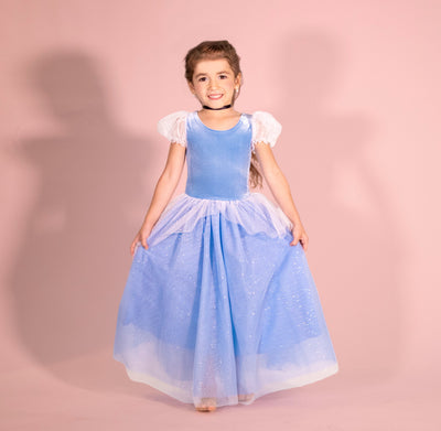 Joy Costumes Princess Cinderella blue costume dress SHIPS SEPARATELY