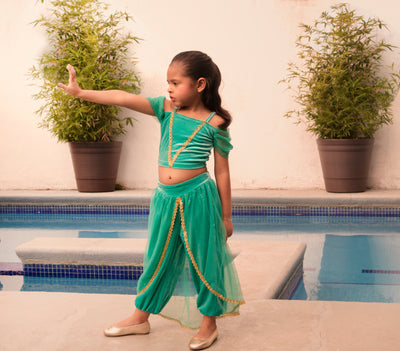 Joy Costumes: The Arabian Princess Costume SHIPS SEPARATELY