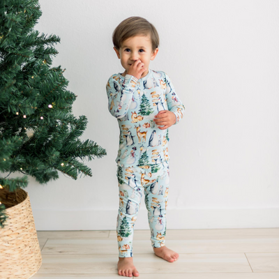 Kickee Pants Pajama Set: Spring Sky Winter Woodland