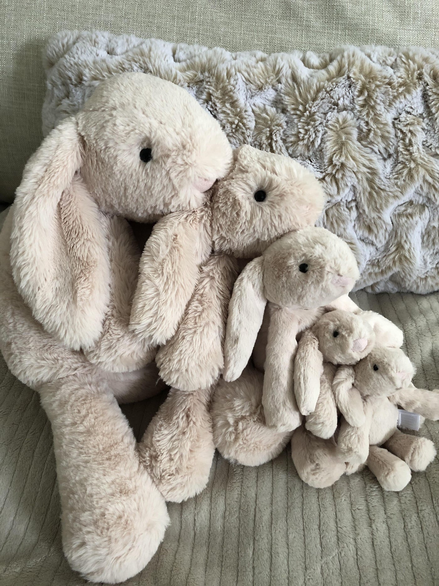 Jellycat: Smudge Rabbit (Multiple Sizes) LIMIT 1 PER HOUSEHOLD