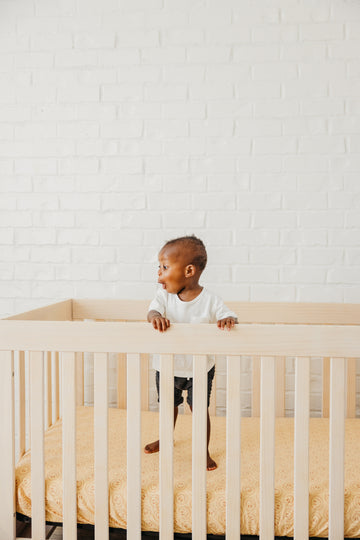 Copper Pearl Fitted Crib Sheet: Vance