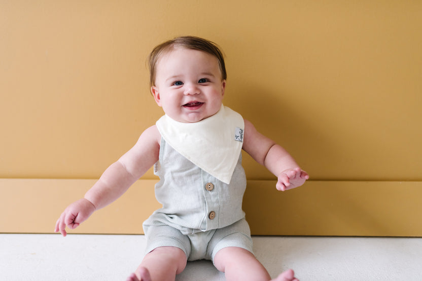 Copper Pearl Bandana Bib Set: Stone