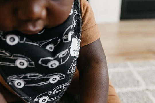 Copper Pearl Bandana Bib Set: Nash