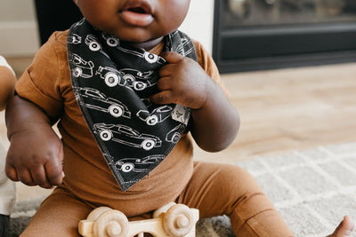 Copper Pearl Bandana Bib Set: Nash