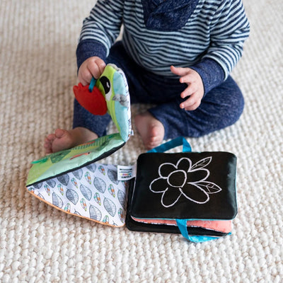 Fat Brain Toys: Lamaze Colorful Journey Caterpillar