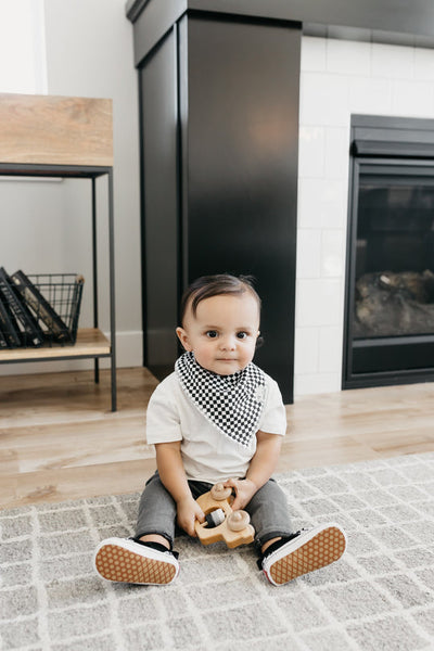 Copper Pearl Bandana Bib Set: Nash