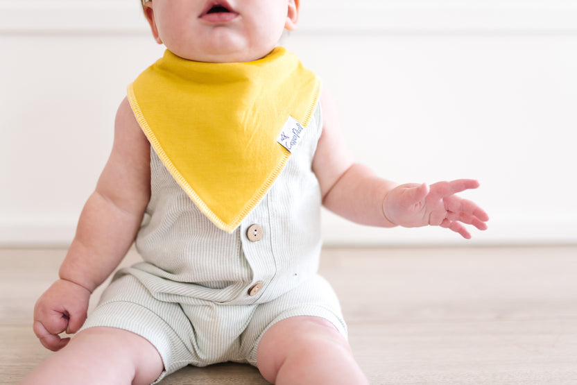 Copper Pearl Bandana Bib Set: Stone