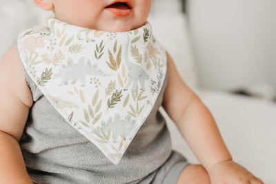 Copper Pearl Bandana Bib Set: Rex