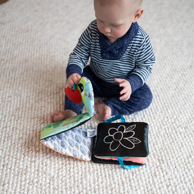 Fat Brain Toys: Lamaze Colorful Journey Caterpillar