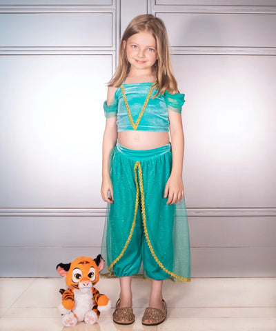 Joy Costumes Costume Dress: Arabian Princess