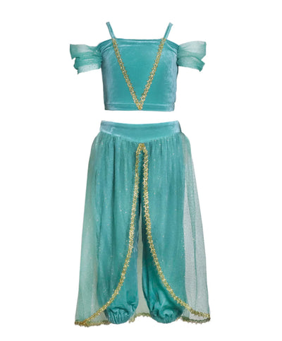 Joy Costumes Costume Dress: Arabian Princess