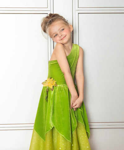 Joy Costumes Costume Dress: Frog Princess or Tinker Fairy