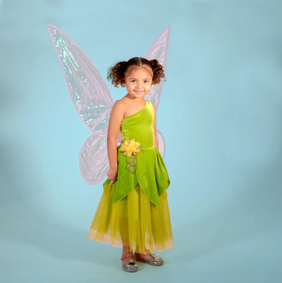 Joy Costumes Costume Dress: Frog Princess or Tinker Fairy