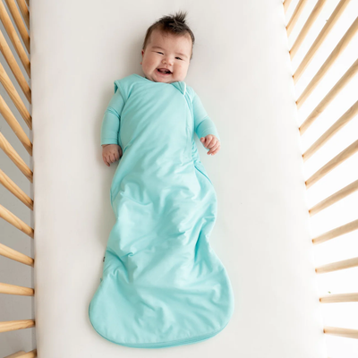 Kyte Baby Sleep Sack: Robin 1.0 TOG